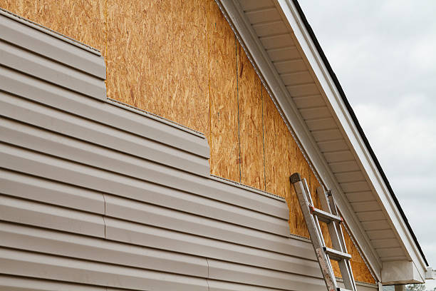 Best Aluminum Siding Installation  in Elk Mound, WI